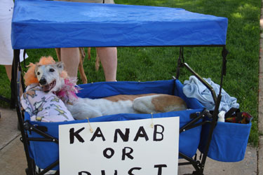 Almost Home for Hounds