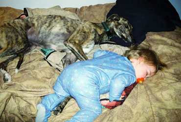 Almost Home for Hounds