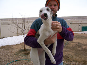 Almost Home for Hounds